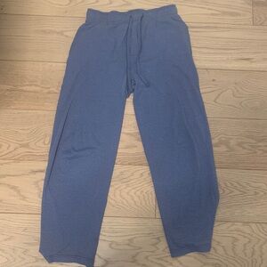Gildan Blue Sweatpants
